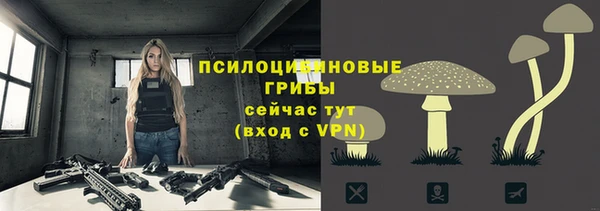 mdpv Козельск