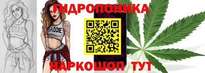 прущие крисы Лесосибирск