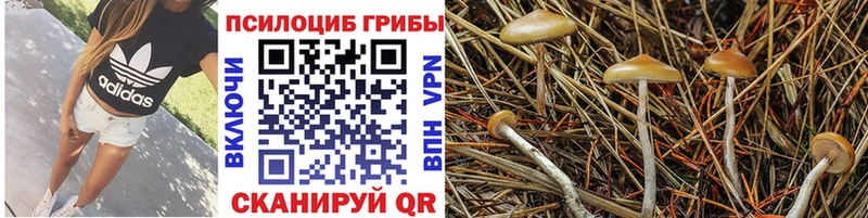 Галлюциногенные грибы MAGIC MUSHROOMS Когалым