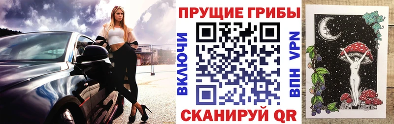 blacksprut   Когалым  Псилоцибиновые грибы GOLDEN TEACHER  купить наркоту 