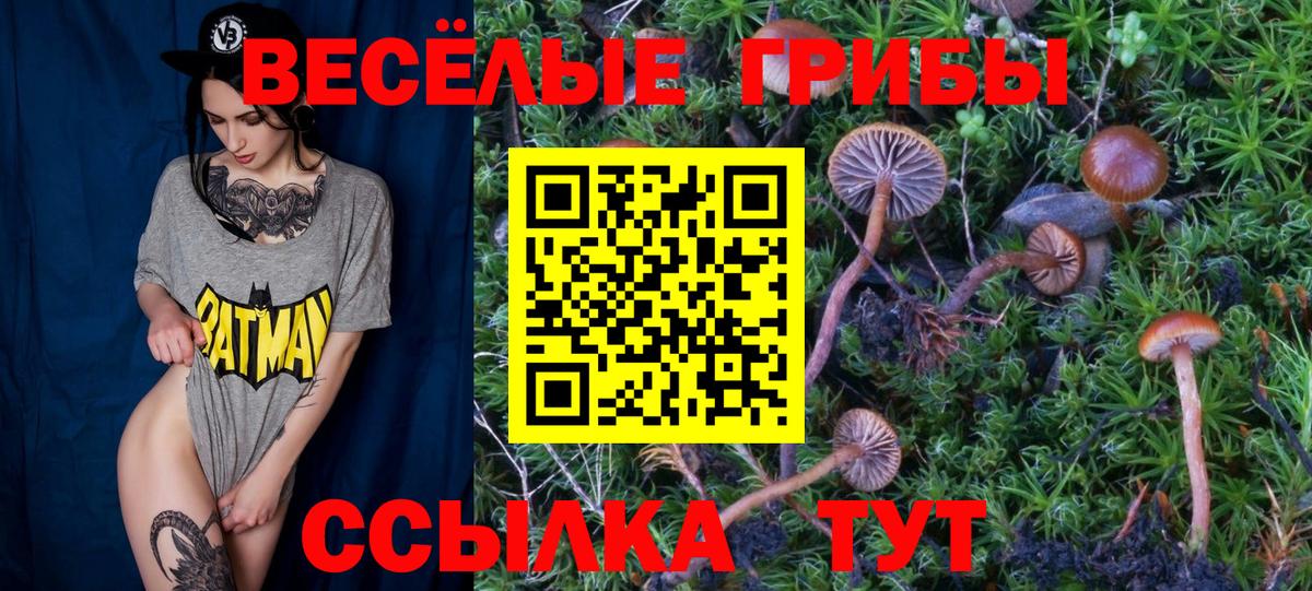 Когалым  Псилоцибиновые грибы мухоморы  Вход с VPN 